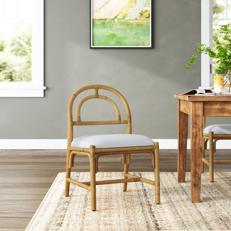 Birch lane discount dining room chairs